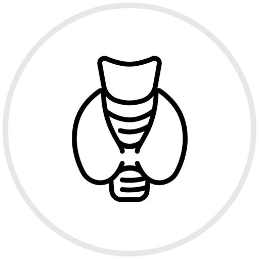 Endocrinologie - Clinica Medicala Grama