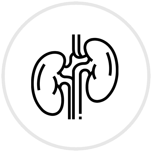 Nefrologie - Clinica Medicala Grama